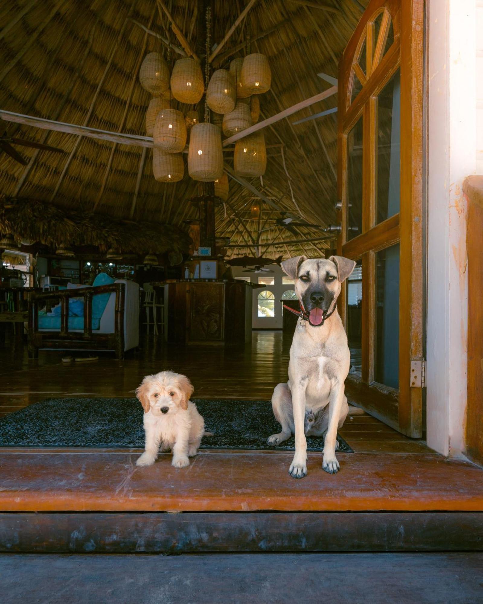 Thatch Caye Resort A Muy'Ono Resort Hopkins Buitenkant foto