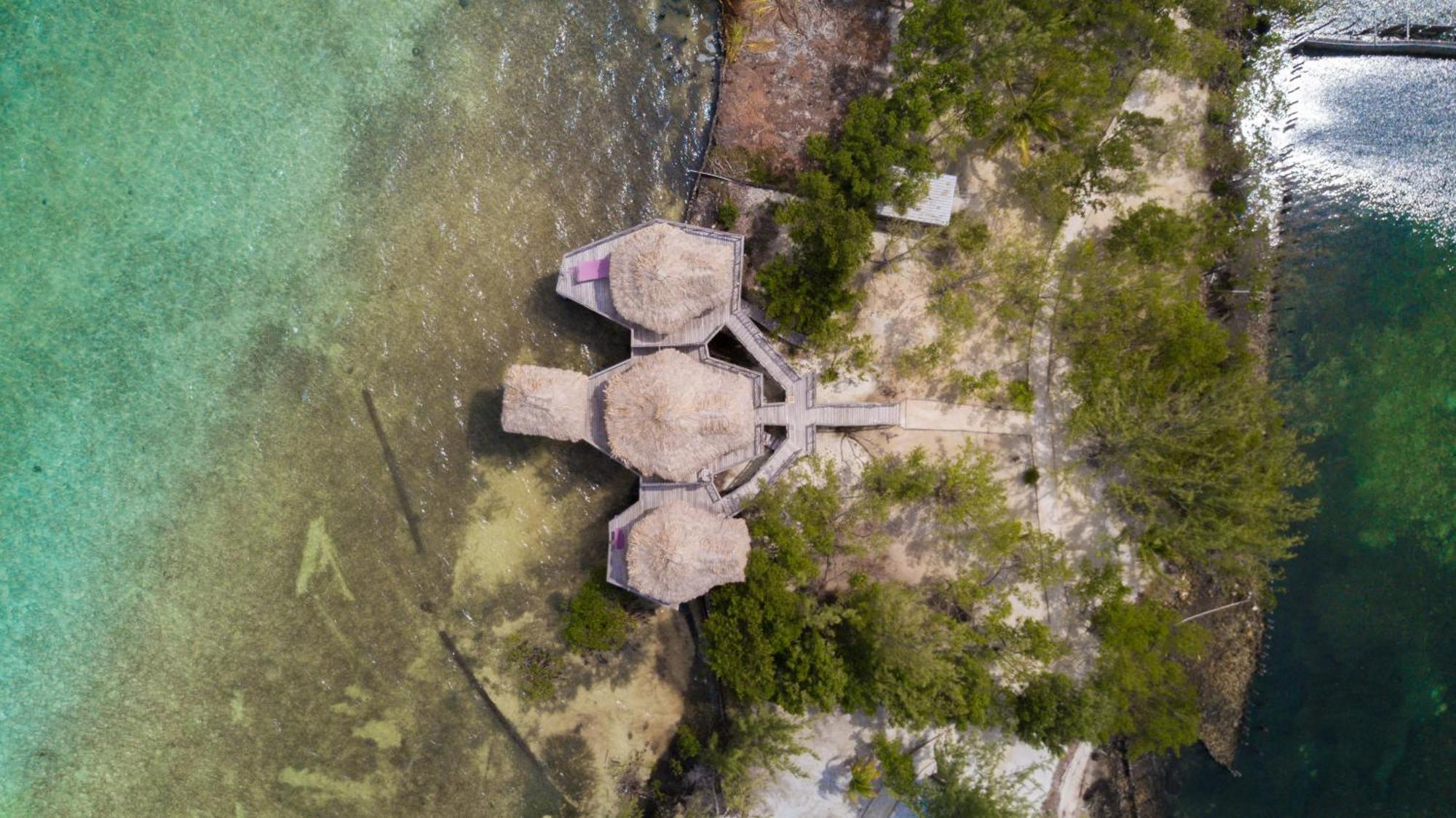 Thatch Caye Resort A Muy'Ono Resort Hopkins Kamer foto